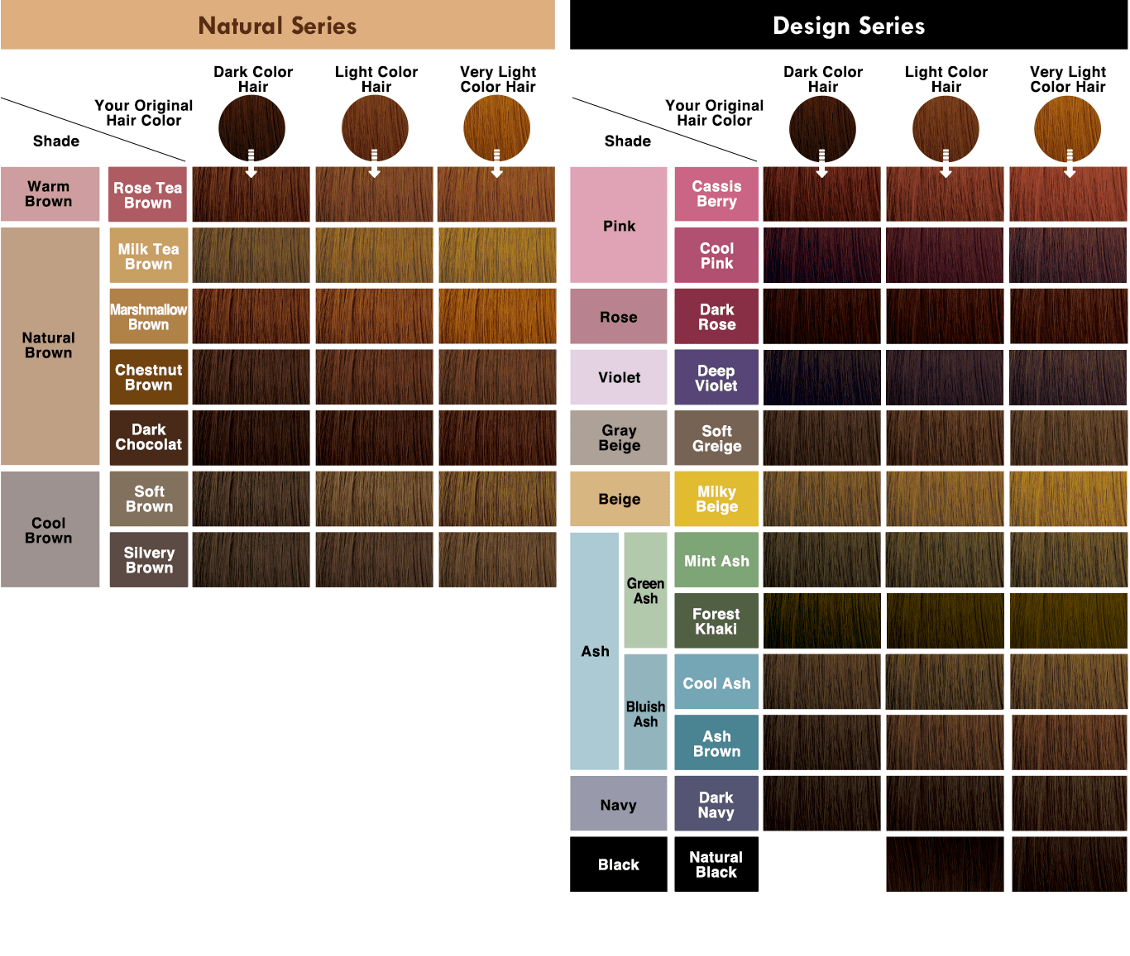 KAO Liese Prettia Bubble Hair Color 2023 NEW COLORS