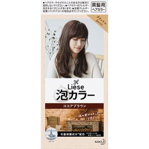 KAO Liese Prettia Bubble Hair Color 2023 NEW COLORS